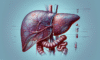 Advanced Liver Blood Test Insights: Tewkesbury Analysis