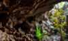 Belizean Caves: Discovering Archaeology, Biodiversity, and Climate