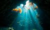 Belize Diving: Explore Underwater Treasures Beyond the Blue Hole