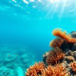 Snorkeling the Belize Barrier Reef: Top Locations and Marine Life
