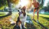 Trick Training for Dogs: Fun Ways to Teach Clever Canines