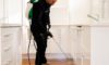 DIY Pest Control: Why Professional Solutions Outshine Store Sprays