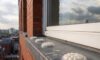 Bird Proofing Solutions: Gel Repellent Alternatives Without Spikes