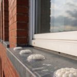 Bird Proofing Solutions: Gel Repellent Alternatives Without Spikes