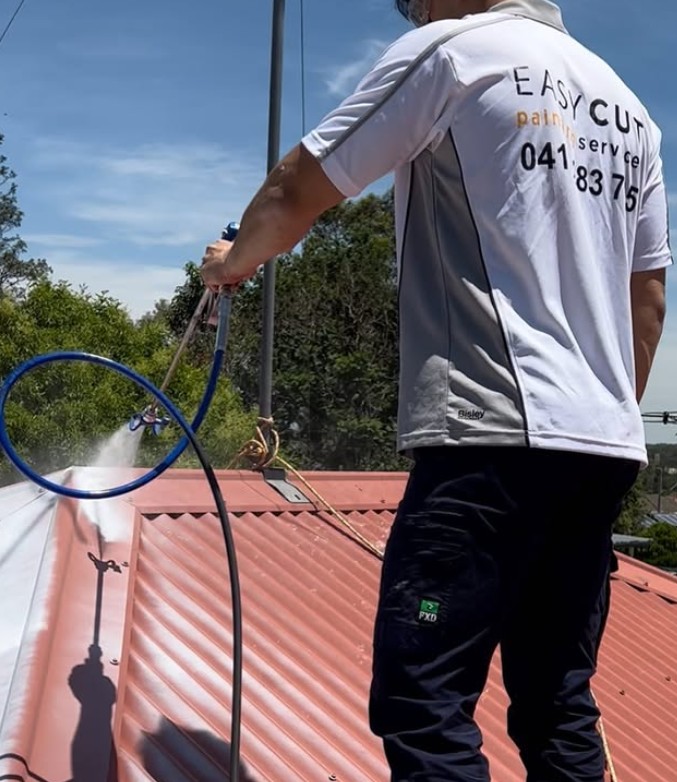 Metal Roof Painting Tips from a Hills District Specialist