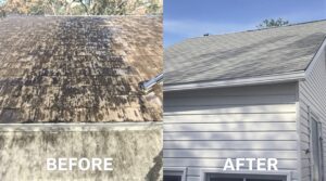 Unlock the Essential Benefits of Soft Washing for Complete Home Care