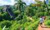 Belize Attractions Guide: Essential Travel Tips for Visitors