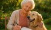 Emotional Support for Senior Pet Owners: Key Strategies