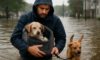 Pet Safety Measures During Flood Evacuations: Key Tips
