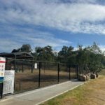 Tree Planting at Maitland’s Rutherford Dog Park