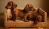 Puppy Comfort: How to Create a Snug Crate for Your Dog
