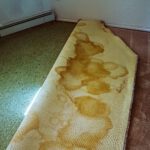 Carpet and Underlay Disposal Simplified in Sydney