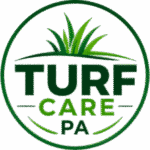 Organic Lawn Care Services: Essential Benefits to Consider