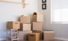 Rubbish Removal in Hastings: Expert Advice and Support